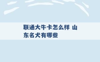 联通大牛卡怎么样 山东名犬有哪些 