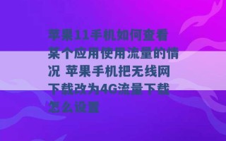 苹果11手机如何查看某个应用使用流量的情况 苹果手机把无线网下载改为4G流量下载怎么设置 