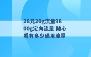 28元20g流量9800g定向流量 随心看有多少通用流量 