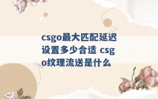 csgo最大匹配延迟设置多少合适 csgo纹理流送是什么 