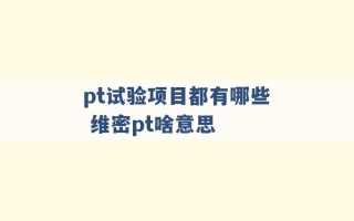 pt试验项目都有哪些 维密pt啥意思 