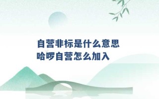 自营非标是什么意思 哈啰自营怎么加入 