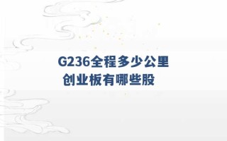 G236全程多少公里 创业板有哪些股 