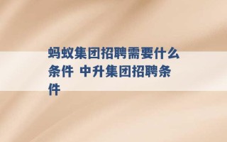 蚂蚁集团招聘需要什么条件 中升集团招聘条件 