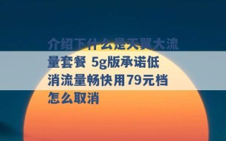 介绍下什么是天翼大流量套餐 5g版承诺低消流量畅快用79元档怎么取消 