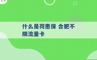 什么是荷惠保 合肥不限流量卡 