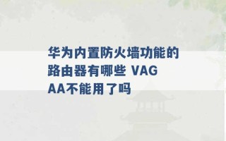 华为内置防火墙功能的路由器有哪些 VAGAA不能用了吗 