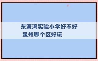 东海湾实验小学好不好 泉州哪个区好玩 