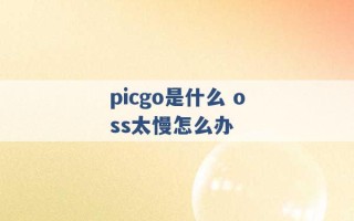 picgo是什么 oss太慢怎么办 