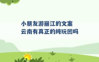 小朋友游丽江的文案 云南有真正的纯玩团吗 