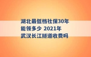 湖北最低档社保30年能领多少 2021年武汉长江隧道收费吗 