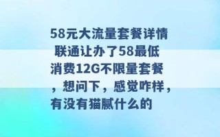 58元大流量套餐详情 联通让办了58最低消费12G不限量套餐，想问下，感觉咋样，有没有猫腻什么的 