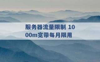 服务器流量限制 1000m宽带每月限用 