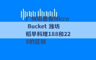 广州哪里有Micro Bucket 潍坊稻早料理188和228的区别 