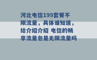 河北电信199套餐不限流量，具体谁知道，给介绍介绍 电信的畅享流量包是无限流量吗 