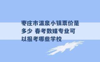 枣庄市温泉小镇票价是多少 春考数媒专业可以报考哪些学校 