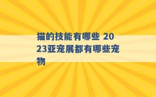 猫的技能有哪些 2023亚宠展都有哪些宠物 