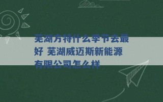 芜湖方特什么季节去最好 芜湖威迈斯新能源有限公司怎么样 