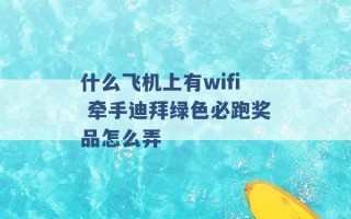 什么飞机上有wifi 牵手迪拜绿色必跑奖品怎么弄 