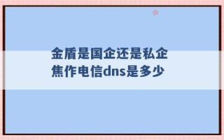 金盾是国企还是私企 焦作电信dns是多少 