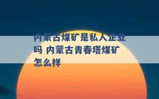 内蒙古煤矿是私人企业吗 内蒙古青春塔煤矿怎么样 