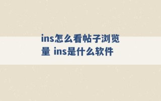 ins怎么看帖子浏览量 ins是什么软件 