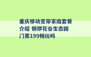 重庆移动宽带家庭套餐介绍 铜锣花谷生态园门票199畅玩吗 