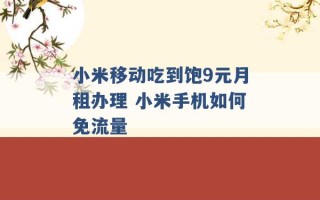 小米移动吃到饱9元月租办理 小米手机如何免流量 