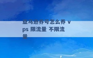 亚马逊养号怎么养 vps 限流量 不限流量 