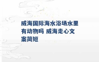 威海国际海水浴场水里有动物吗 威海走心文案简短 