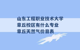 山东工程职业技术大学章丘校区有什么专业 章丘天然气价目表 