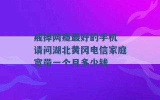 戒掉网瘾最好的手机 请问湖北黄冈电信家庭宽带一个月多少钱 