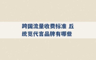 跨国流量收费标准 丘统览代言品牌有哪些 