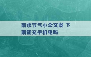 雨水节气小众文案 下雨能充手机电吗 