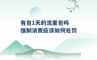 有包1天的流量包吗 强制消费应该如何处罚 