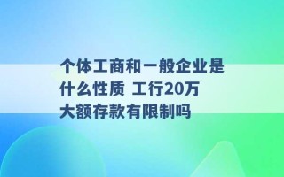 个体工商和一般企业是什么性质 工行20万大额存款有限制吗 