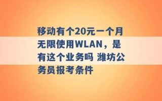 移动有个20元一个月无限使用WLAN，是有这个业务吗 潍坊公务员报考条件 