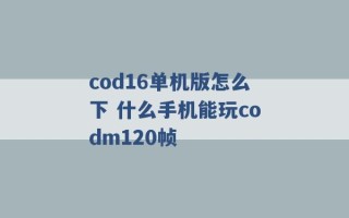 cod16单机版怎么下 什么手机能玩codm120帧 