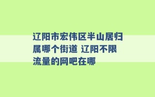 辽阳市宏伟区半山居归属哪个街道 辽阳不限流量的网吧在哪 