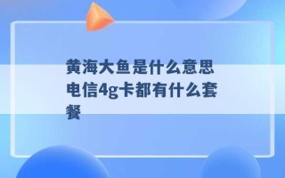 黄海大鱼是什么意思 电信4g卡都有什么套餐 