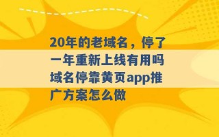 20年的老域名，停了一年重新上线有用吗 域名停靠黄页app推广方案怎么做 