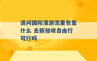 请问国际漫游流量包是什么 去新加坡自由行可行吗 