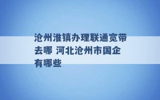 沧州淮镇办理联通宽带去哪 河北沧州市国企有哪些 