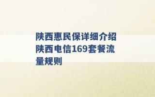 陕西惠民保详细介绍 陕西电信169套餐流量规则 