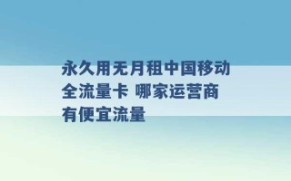 永久用无月租中国移动全流量卡 哪家运营商有便宜流量 