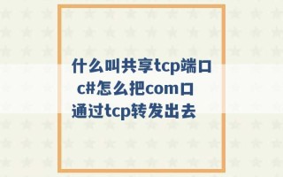 什么叫共享tcp端口 c#怎么把com口通过tcp转发出去 