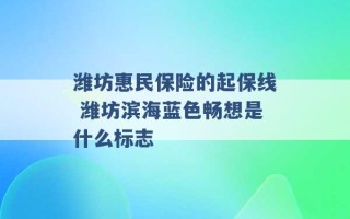 潍坊惠民保险的起保线 潍坊滨海蓝色畅想是什么标志 