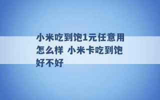 小米吃到饱1元任意用怎么样 小米卡吃到饱好不好 