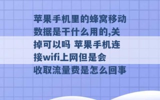 苹果手机里的蜂窝移动数据是干什么用的,关掉可以吗 苹果手机连接wifi上网但是会收取流量费是怎么回事 