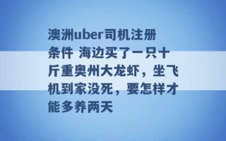 澳洲uber司机注册条件 海边买了一只十斤重奥州大龙虾，坐飞机到家没死，要怎样才能多养两天 